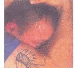 BJESOVI - Vracam se dole, Album 1994 (CD)
